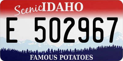 ID license plate E502967