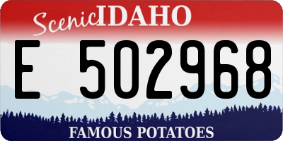 ID license plate E502968