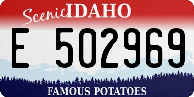 ID license plate E502969