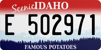 ID license plate E502971
