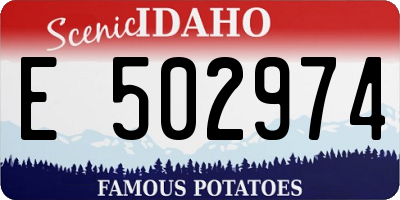 ID license plate E502974