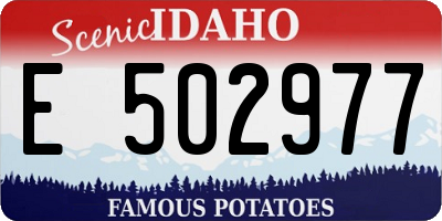 ID license plate E502977