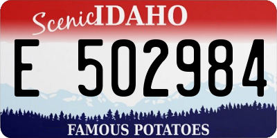 ID license plate E502984