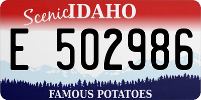ID license plate E502986