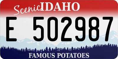 ID license plate E502987
