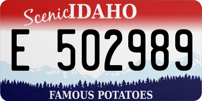 ID license plate E502989