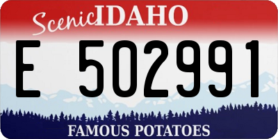 ID license plate E502991