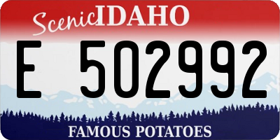 ID license plate E502992
