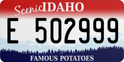 ID license plate E502999