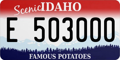 ID license plate E503000