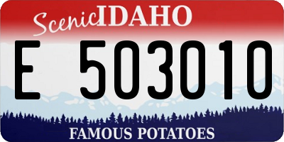 ID license plate E503010
