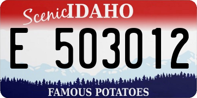 ID license plate E503012