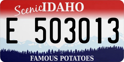 ID license plate E503013