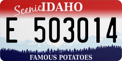 ID license plate E503014
