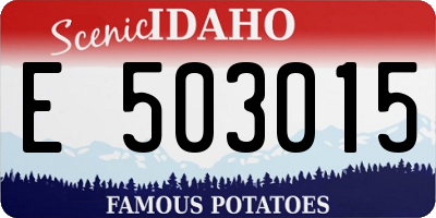 ID license plate E503015
