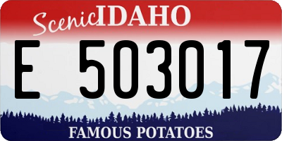 ID license plate E503017