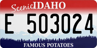 ID license plate E503024
