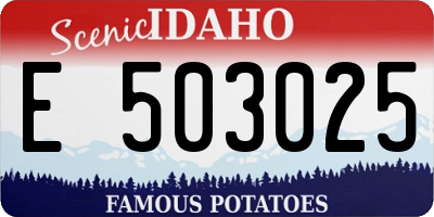 ID license plate E503025