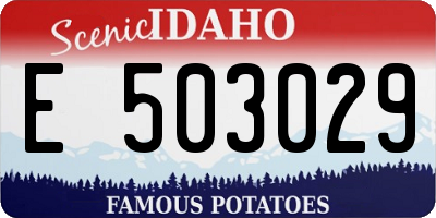 ID license plate E503029