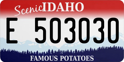 ID license plate E503030