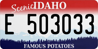 ID license plate E503033
