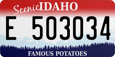 ID license plate E503034