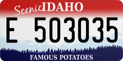 ID license plate E503035
