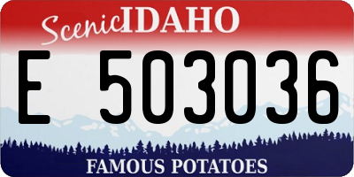 ID license plate E503036