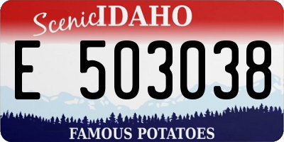 ID license plate E503038