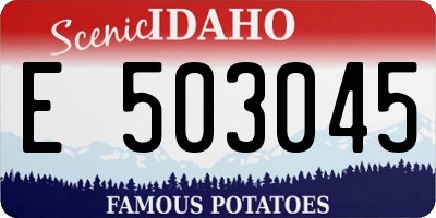 ID license plate E503045