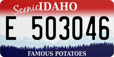ID license plate E503046