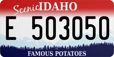ID license plate E503050