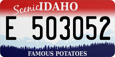 ID license plate E503052