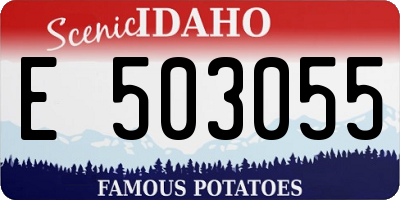 ID license plate E503055