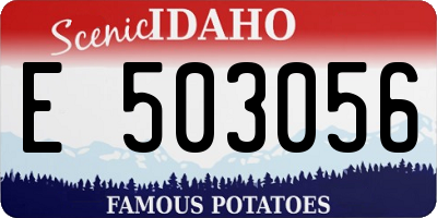 ID license plate E503056