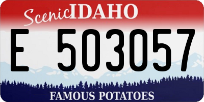ID license plate E503057