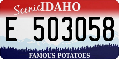 ID license plate E503058