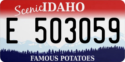 ID license plate E503059