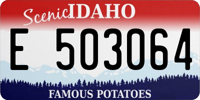 ID license plate E503064