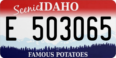 ID license plate E503065