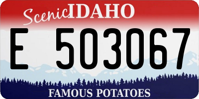 ID license plate E503067