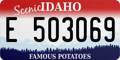 ID license plate E503069