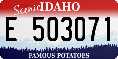 ID license plate E503071