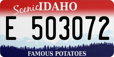 ID license plate E503072