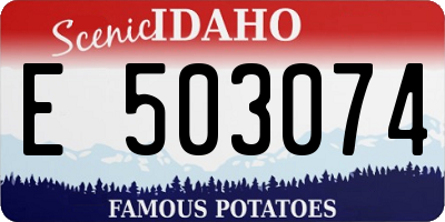 ID license plate E503074