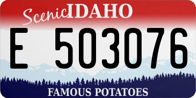ID license plate E503076