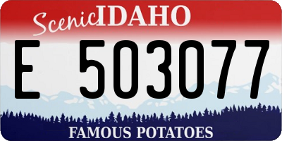ID license plate E503077