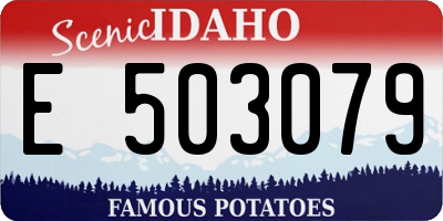 ID license plate E503079