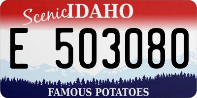 ID license plate E503080