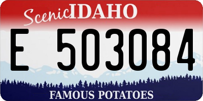 ID license plate E503084